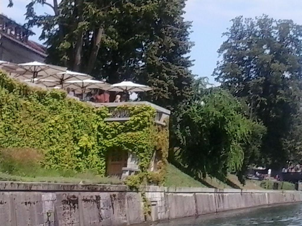Tanja Ljubljana