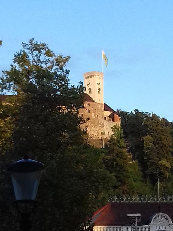Tanja Ljubljana